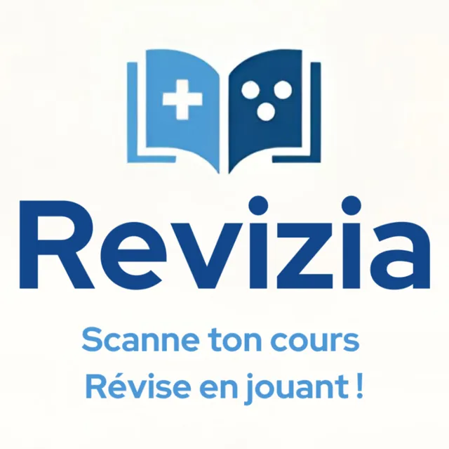 RevizIA, réalisation YB Digital Consulting
